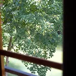 Hotel Le Saint Hubert